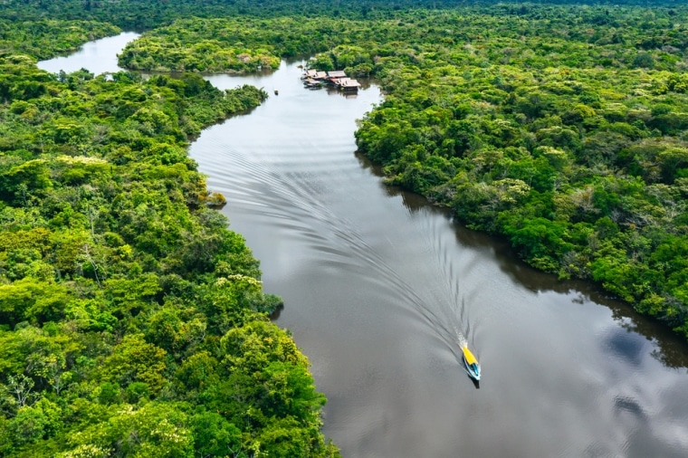 L'Amazzonia e la foresta pluviale